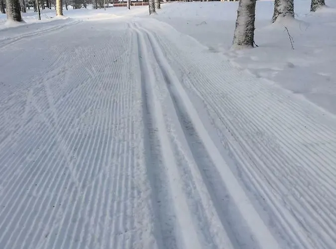 Seinaejoen Leirintaealue