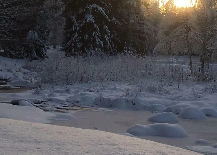 Seinaejoen Leirintaealue Seinäjoki